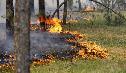В Югре объявлен противопожарный сезон