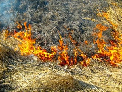 В Югре объявлен пожароопасный сезон