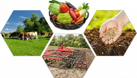 Конкурс по предоставлению грантов в форме субсидий на создание системы поддержки фермеров и развития сельской кооперации