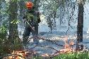 Департамент недропользования и природных ресурсов Югры, База авиационной и наземной охраны лесов сообщает