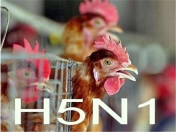 Управления Россельхознадзора по Тюменской области, Ямало-Ненецкому и Ханты-Мансийскому автономным округам