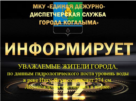 Данные гидрологического поста на 29.06.2025