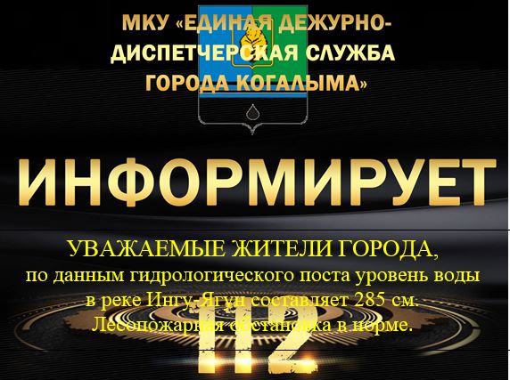 Данные гидрологического поста на 26.06.2025