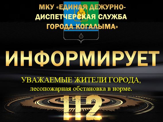 Данные лесопожарной обстановки на 30.06.2025