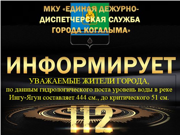 Данные гидрологического поста на 11.05.2025