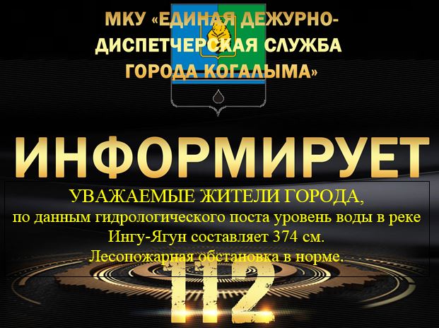 Данные гидрологического поста на 06.06.2025