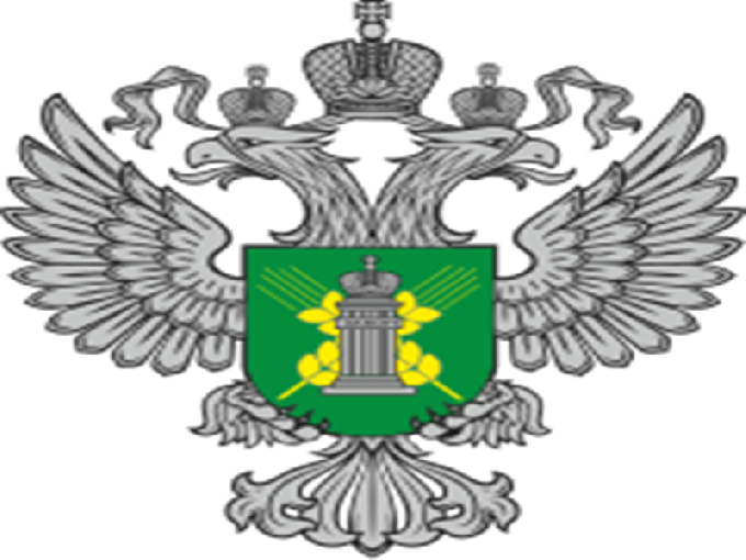 Информационный материал