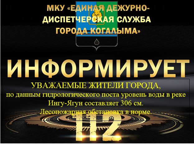 Данные гидрологического поста на 20.06.2025