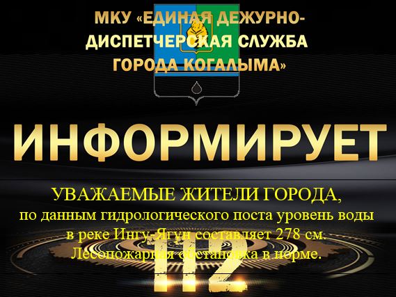 Данные гидрологического поста на 28.06.2025