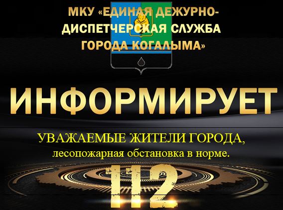 Данные лесопожарной обстановки на 01.07.2025