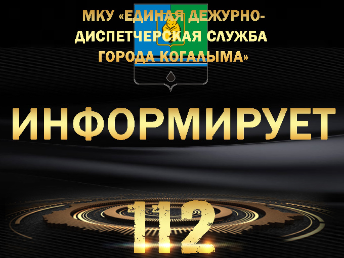 О состоянии атмосферного воздуха в г. Когалыме в связи с задымленностью.