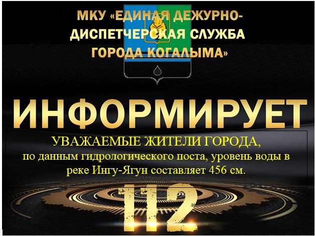 Данные гидрологического поста на 12.05.2025