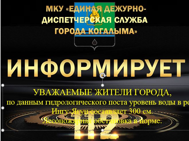 Данные гидрологического поста на 22.06.2025