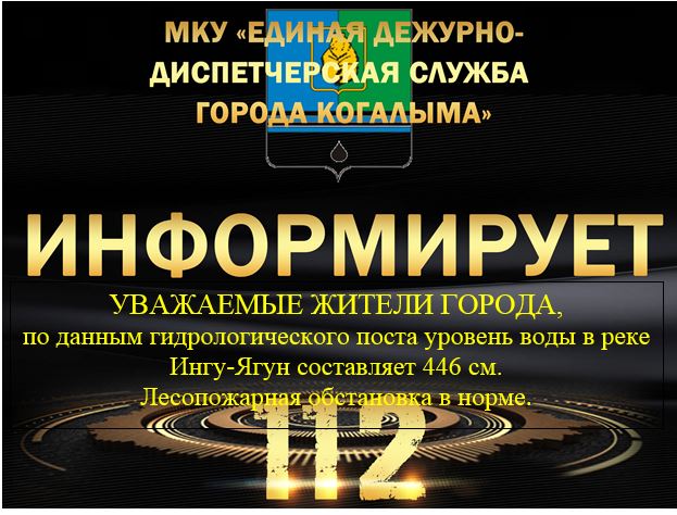 Данные гидрологического поста 31.05.2025