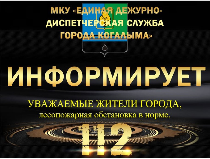 Данные лесопожарной обстановки на 16.07.2025