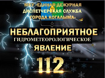 Неблагоприятные погодные явления на 11.08.2026