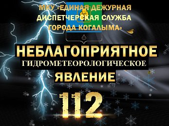 Неблагоприятные явления погоды на 10.01.2025