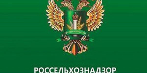 Анонс