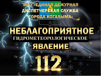 Неблагоприятные погодные явления на 07.08.2026