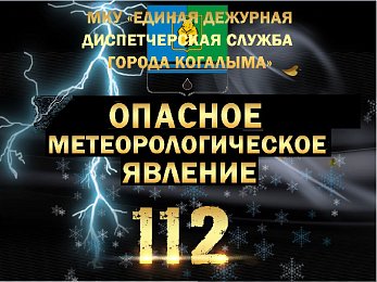 Опасные погодные явления на 06.08.2026